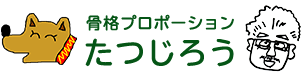 骨格プロポーションたつじろう